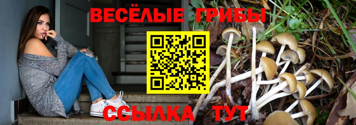 Белая Калитва  Псилоцибиновые грибы Psilocybe  Вход с VPN 